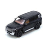 Premium scale diecast model car  – Yanwang U8, 1:64 Scale (Black) Collectible